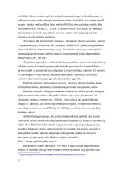 Lietuvos pensijiniai fondai ir jų įtaka valstybės finansams 17 puslapis