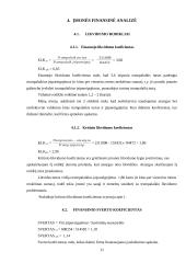 UAB „Roneta“ įmonės veiklos analizė bei lizingo suteikimas 11 puslapis