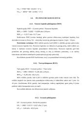 UAB „Roneta“ įmonės veiklos analizė bei lizingo suteikimas 13 puslapis