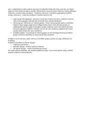 Konfliktų teorija. R. Dahrendorfas 2 puslapis