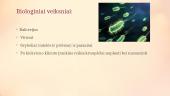 Ergonomika kirpykloje 12 puslapis
