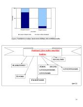 Baltijos jūra ir jos problemos 14 puslapis