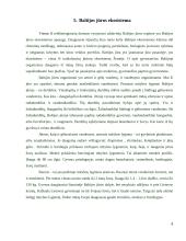 Baltijos jūra ir jos problemos 8 puslapis