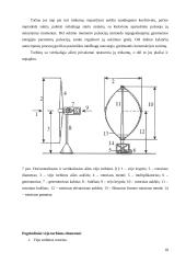 Hibridinės elektros energijos tiekimo sistemos tyrimas 14 puslapis