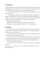 Hibridinės elektros energijos tiekimo sistemos tyrimas 3 puslapis