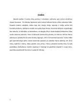 Ambicingiausia Indijos kosminė programa - kosminio aparato paleidimas į Marsą 3 puslapis