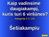 Daugiakampiai skaidrės 13 puslapis