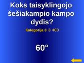 Daugiakampiai skaidrės 16 puslapis