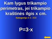 Daugiakampiai skaidrės 20 puslapis