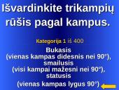 Daugiakampiai skaidrės 6 puslapis
