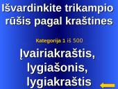 Daugiakampiai skaidrės 7 puslapis
