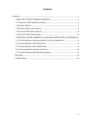 Krovinio vežimo maršrutų Vilnius - Berlynas pasirinkimas ir įvertinimas 2 puslapis