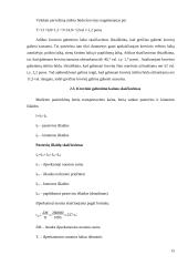 Krovinio vežimo maršrutų Vilnius - Berlynas pasirinkimas ir įvertinimas 15 puslapis