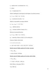 Krovinio vežimo maršrutų Vilnius - Berlynas pasirinkimas ir įvertinimas 19 puslapis