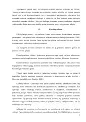 Krovinio vežimo maršrutų Vilnius - Berlynas pasirinkimas ir įvertinimas 5 puslapis