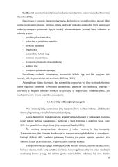 Krovinio vežimo maršrutų Vilnius - Berlynas pasirinkimas ir įvertinimas 8 puslapis