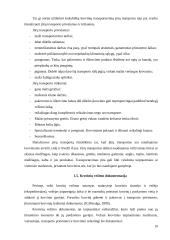 Krovinio vežimo maršrutų Vilnius - Berlynas pasirinkimas ir įvertinimas 10 puslapis