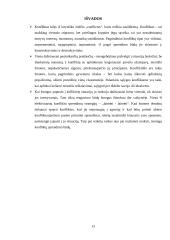 Konfliktai, jų priežastys, prevencija 13 puslapis