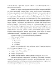 Konfliktai, jų priežastys, prevencija 5 puslapis