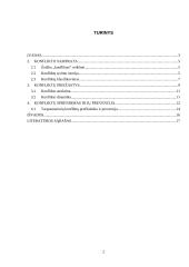 Konfliktai. Pedagoginio kūrybiškumo referatas 2 puslapis