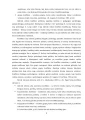 Konfliktai. Pedagoginio kūrybiškumo referatas 8 puslapis