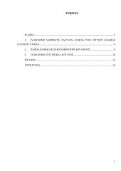 Įvaikinimas. Vaiko teisių socialinės-edukacinės apsaugos referatas 2 puslapis