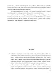 Įvaikinimas. Vaiko teisių socialinės-edukacinės apsaugos referatas 12 puslapis
