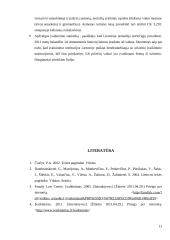 Įvaikinimas. Vaiko teisių socialinės-edukacinės apsaugos referatas 13 puslapis