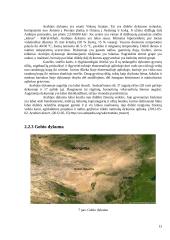 Didžiosios pasaulio dykumos 13 puslapis