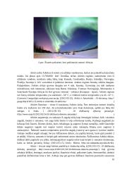 Didžiosios pasaulio dykumos 10 puslapis