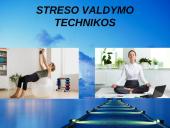 Stresas skaidrės 11 puslapis