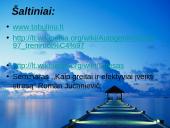 Stresas skaidrės 12 puslapis