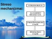 Stresas skaidrės 4 puslapis