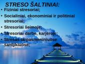Stresas skaidrės 5 puslapis