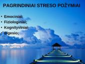 Stresas skaidrės 6 puslapis