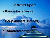 Stresas skaidrės 7 puslapis