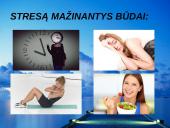 Stresas skaidrės 10 puslapis