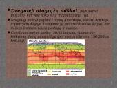 Drėgnieji atogrąžų miškai skaidrės 2 puslapis