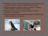 Drėgnieji atogrąžų miškai skaidrės 9 puslapis
