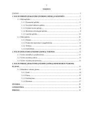 Naujo įpakavimo įvedimas į rinką 2 puslapis