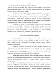 Naujo įpakavimo įvedimas į rinką 12 puslapis