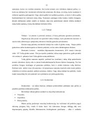 Naujo įpakavimo įvedimas į rinką 13 puslapis