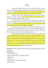 Naujo įpakavimo įvedimas į rinką 3 puslapis