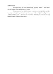 Naujo įpakavimo įvedimas į rinką 4 puslapis