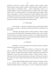 Naujo įpakavimo įvedimas į rinką 10 puslapis