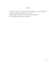 Fono įtakos spalvos suvokimui patikrinimas 12 puslapis