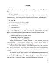 Fono įtakos spalvos suvokimui patikrinimas 4 puslapis