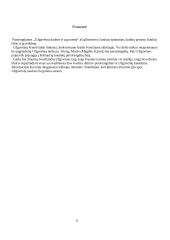 Užgavėnių kaukės ir jų prasmė referatas 3 puslapis