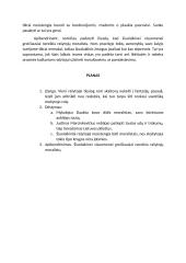 Ar visuomenei reikalingi rašytojai moralistai? Potemė 3 puslapis