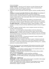 Transporto politikos paruoštukė 3 puslapis